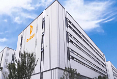 Darui